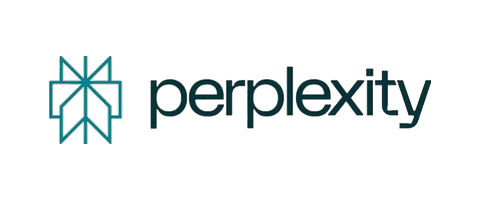 Perplexity